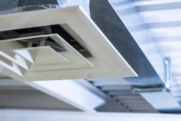 Best Professional Duct Cleaning Services  in Hargill, TX