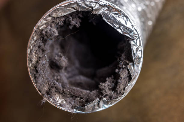 Best Best Air Duct Cleaning Company  in Hargill, TX