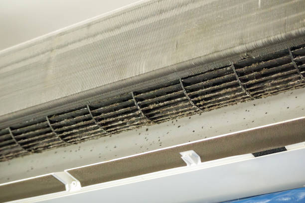 Best Air Quality Test  in Hargill, TX